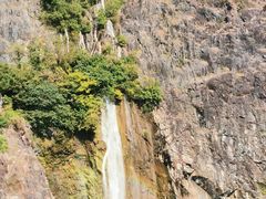 -上海辰山植物园