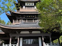-范蠡湖公园