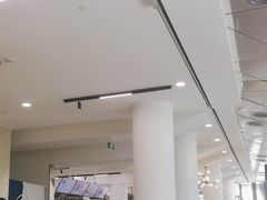 -贝林大翅鲸简餐厅(国家海洋博物馆店)