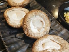 -燚青春东北泥炉烤肉(百合店)