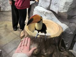 -Zoolung Zoolung动物主题公园(海信广场店)