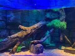 -沈阳海洋探索中心