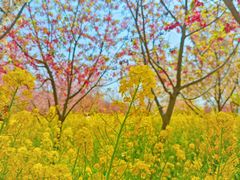 -古柏渡飞黄旅游区