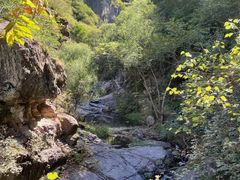 -云岫谷游猎自然风景区