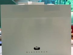 -BLACKSWAN黑天鹅(环球店)