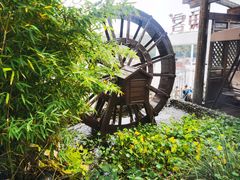 -慢丽江·云南野生菌土鸡锅(付家庄店)