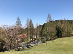 -神户市立六甲山牧场