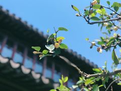 -拙政园