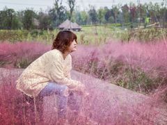 -白鹭湾湿地公园