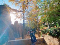 -东方熊牧场
