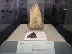 -北京大学赛克勒考古与艺术博物馆