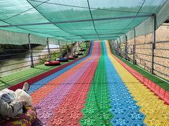 -泗洪洪泽湖湿地景区