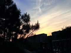 -杭州乐园