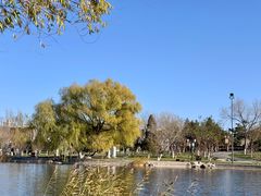 -西海子公园
