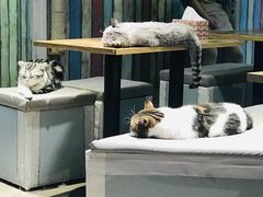 -小时光咖啡馆(开森度假森林店)