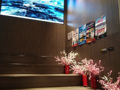 -深影国际影城(学院南路店CGS中国巨幕店)