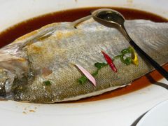 -醉庐·新上海菜(南京西路店)
