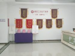 点击看大图 -潍坊艾玛妇产医院