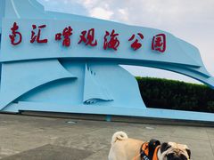 -南汇嘴观海公园