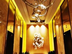 -苏州金鸡湖文博诺富特酒店