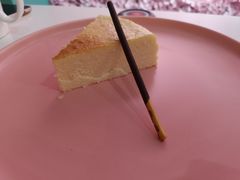 -百好乐宠物友好餐厅(朝外大街店)