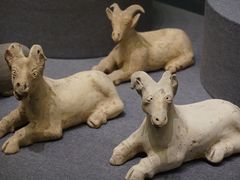 -广西壮族自治区博物馆