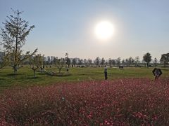 -汉长安城未央宫国家考古遗址公园