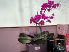 -松鹤楼面馆(天一广场店)