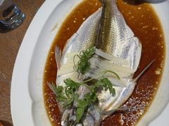 -宁波柏悦酒店·钱湖渔港