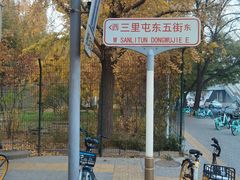 -三里屯东五街银杏大道