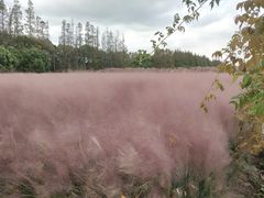 -嘉北郊野公园