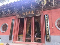-洛阳白马寺