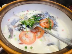 -全乐鱼馆·淳牌有机鱼直营店