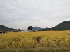-艾米稻香小镇