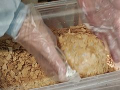 -吉林大学前卫校区南区-日新楼