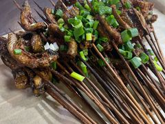 -晓靖轩烧烤(沙河风情店)