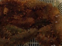 -今鲜源大酒店·中华餐饮名店(新湛路店)