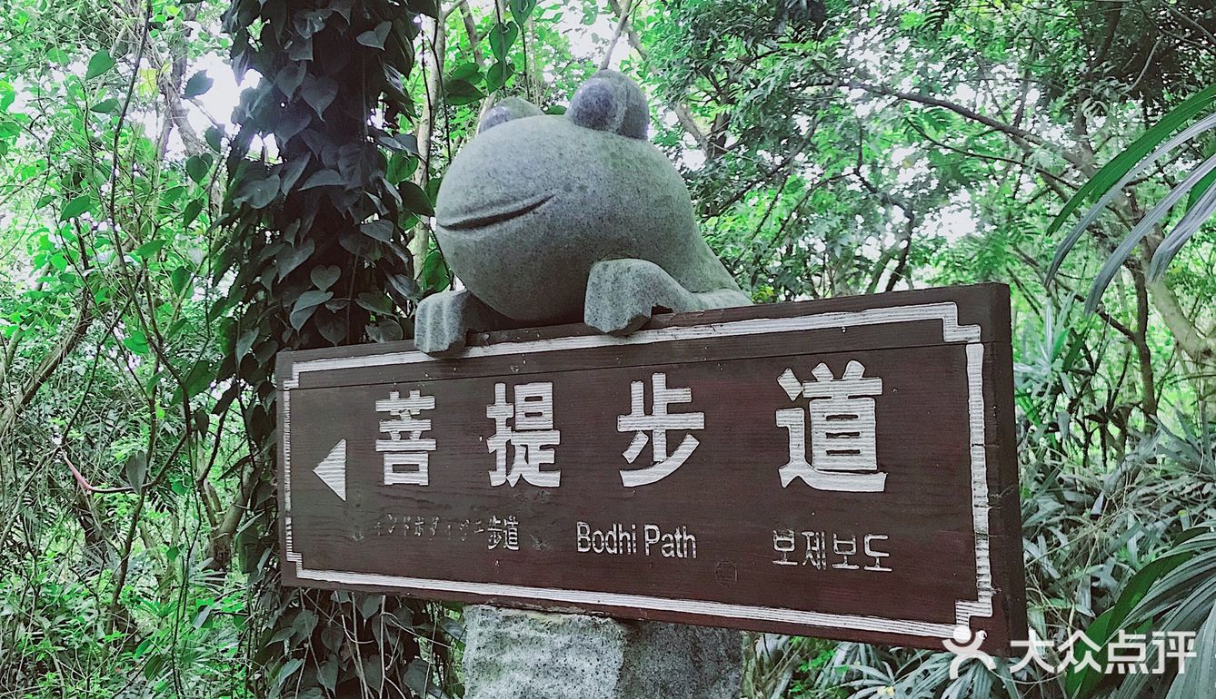 周末放假肯定要去逛公园呀