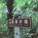 周末放假肯定要去逛公园呀