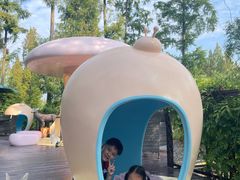 -黄海国家森林公园