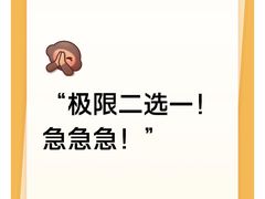 -极拉图·现制冰淇淋(大卫城店)