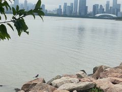 -深圳湾公园(南山区)