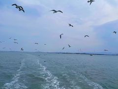 -那香海钻石沙滩浴场