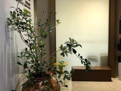 -柏乐口腔医院·舒适化无痛种植牙中心(东盟商务区院)