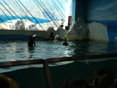 -秦皇岛乐岛海洋王国