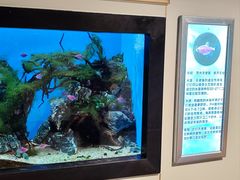 -海合安武汉极地海洋公园