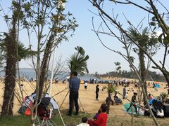 -瑶湖郊野森林公园