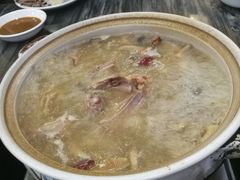 -鸽鸟轩(石岐店)
