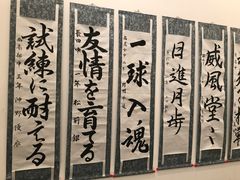 -金泽21世纪美术馆