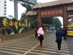 -北海金海湾红树林生态旅游区